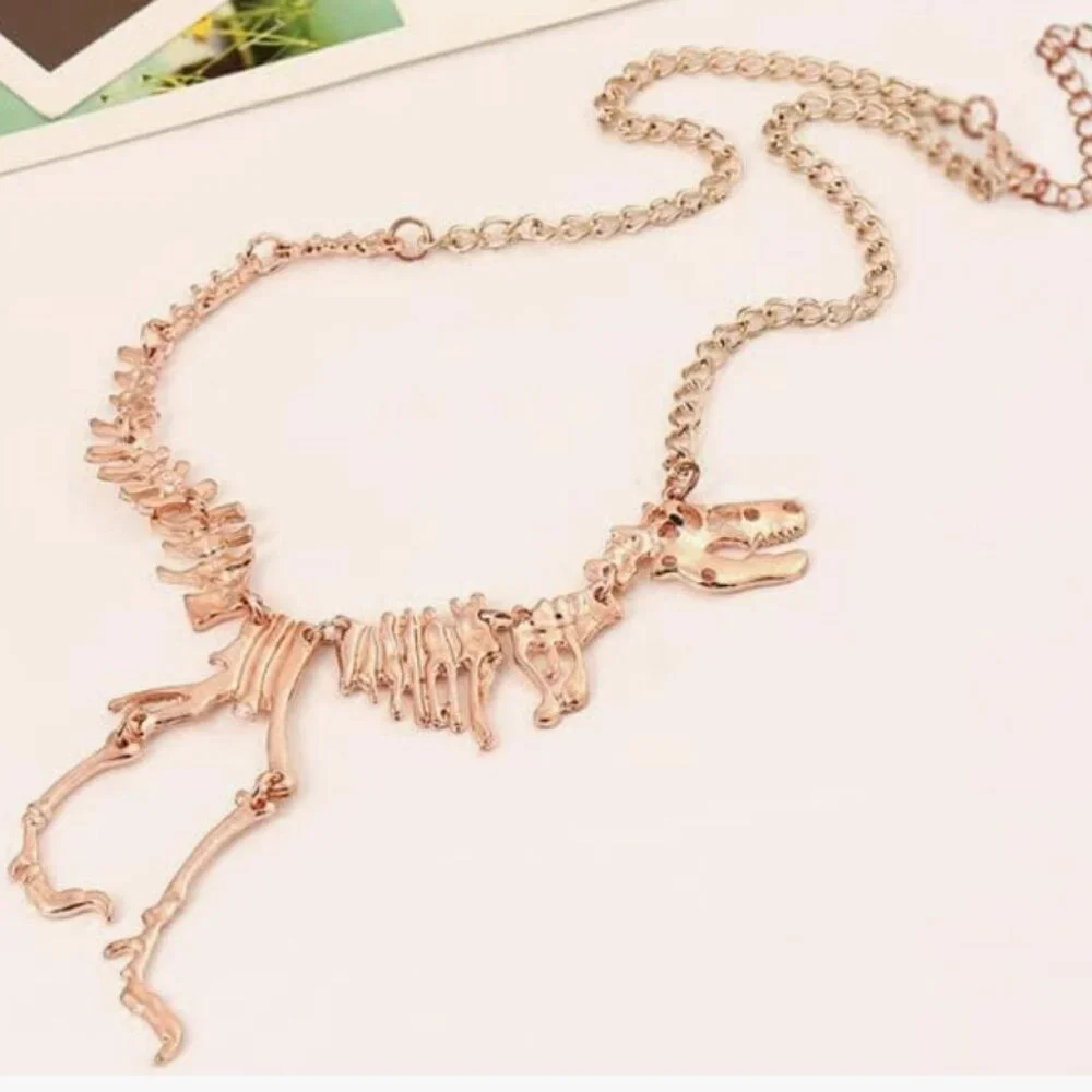 N/A dinosaur skeleton