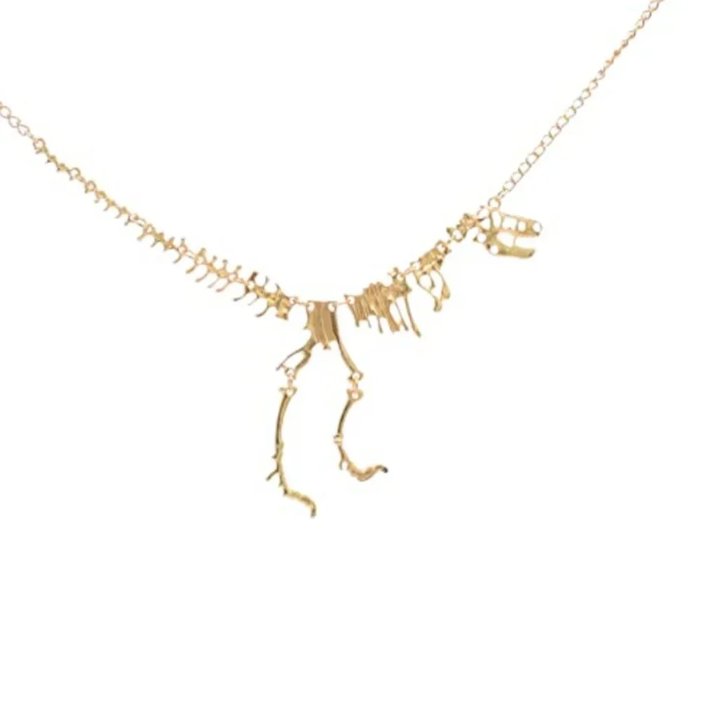 N/A dinosaur skeleton