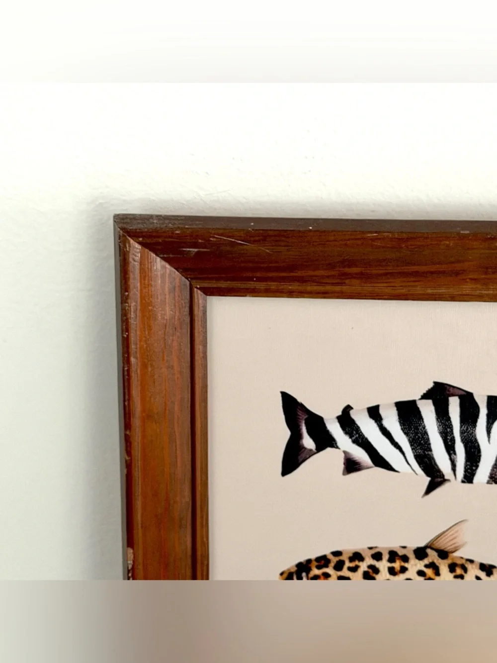 N/A animal print