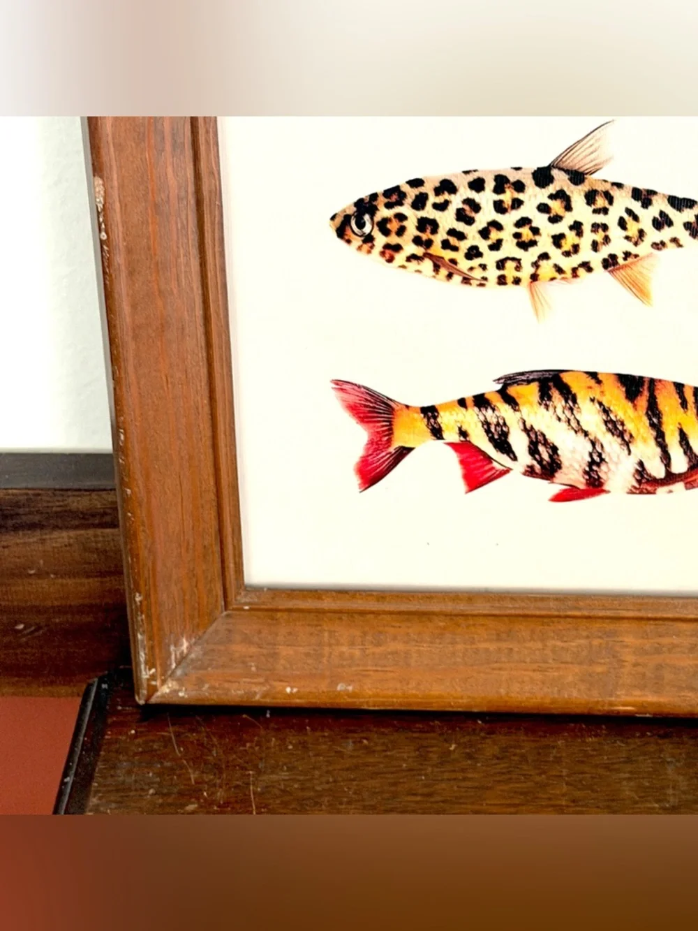 N/A animal print