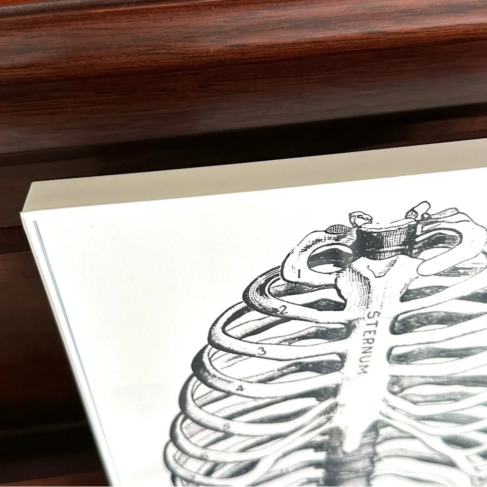 N/A sternum ribcage