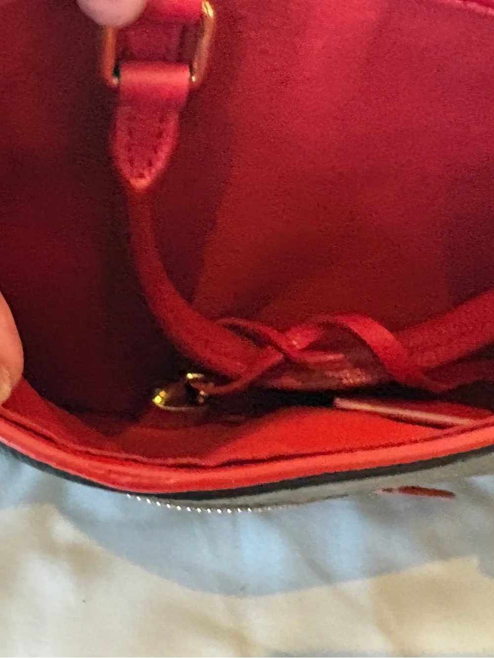 Louis Vuitton signature louis