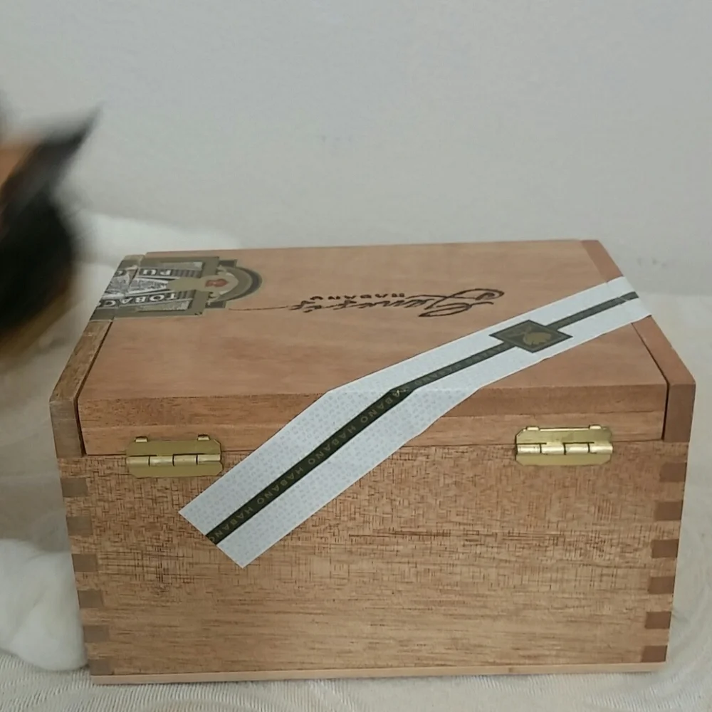 Genesis light colored
