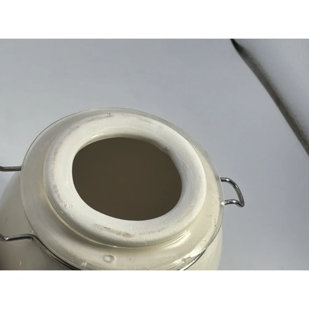 Boston Warehouse Inc ceramic ghost
