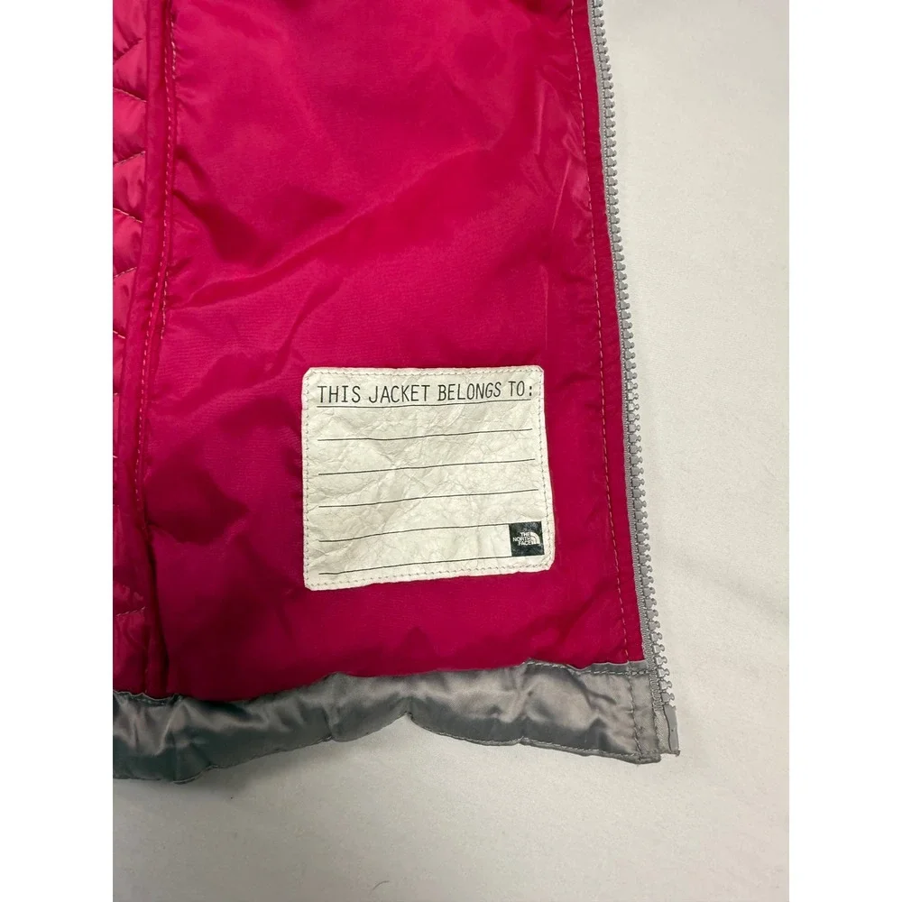 The North Face this jacket