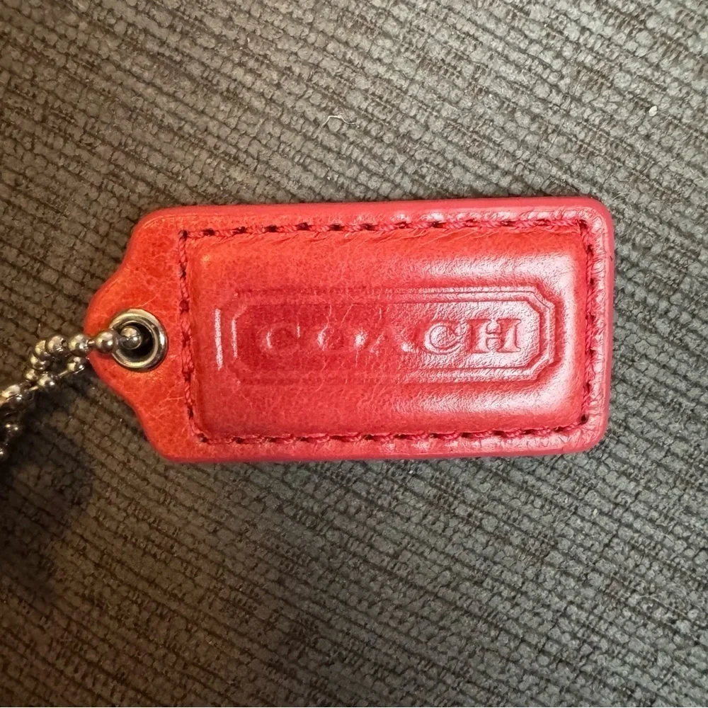 Coach y2k poppy