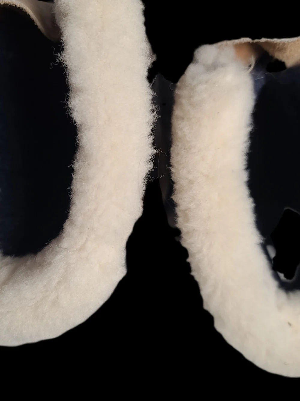 Sorel these are