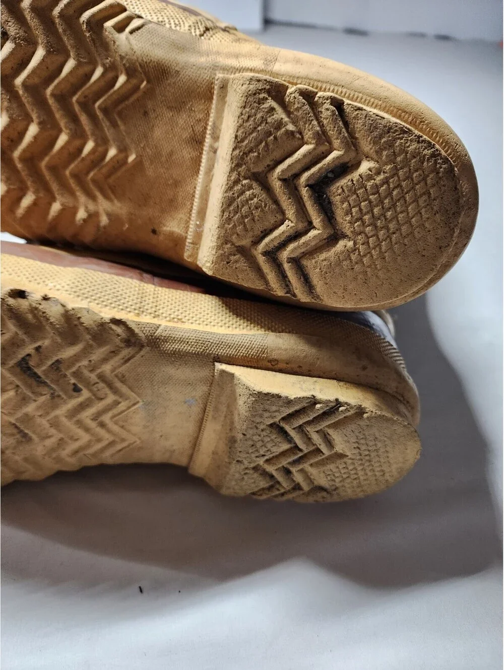 Sorel kaufman lace