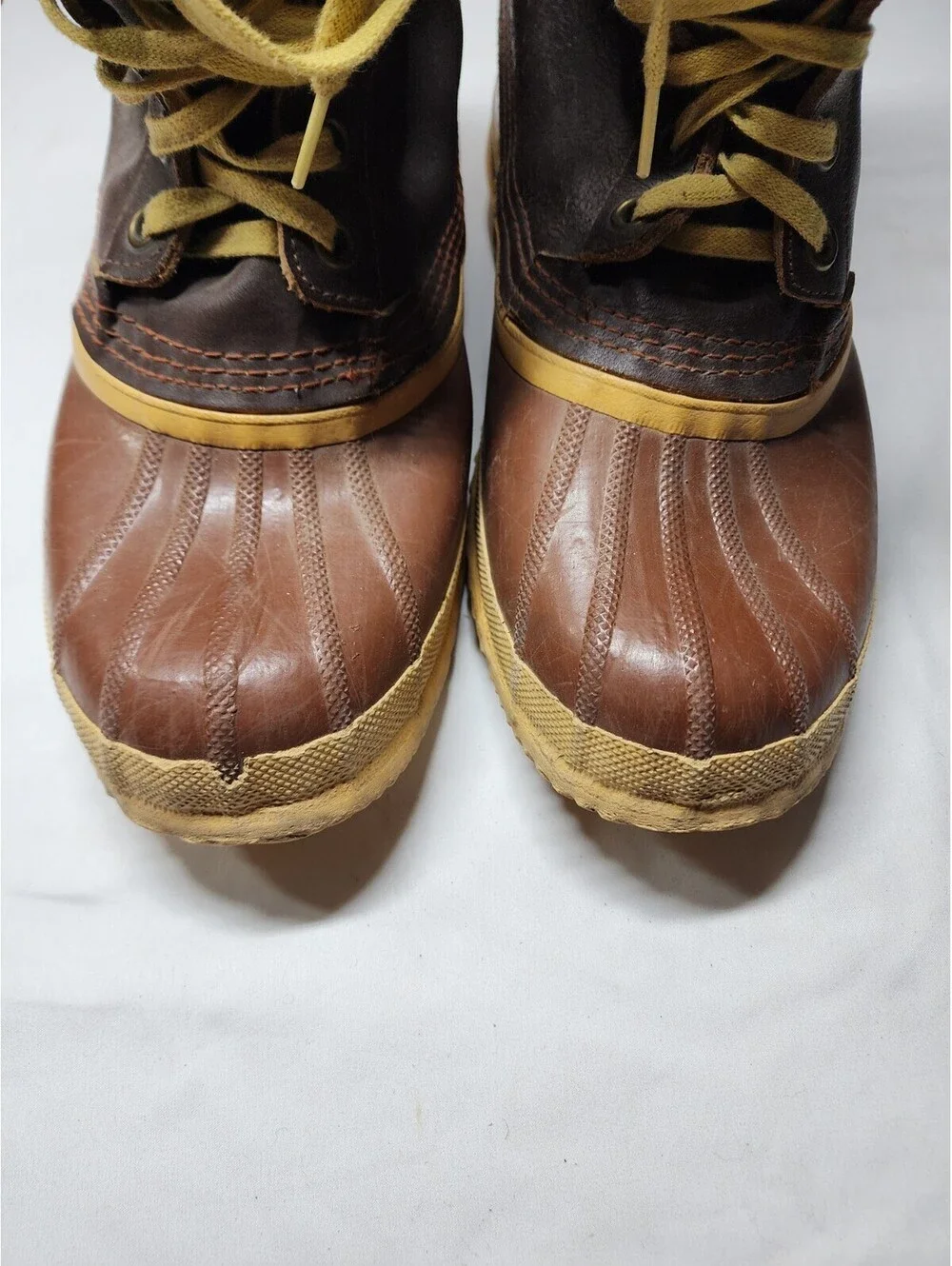 Sorel kaufman lace