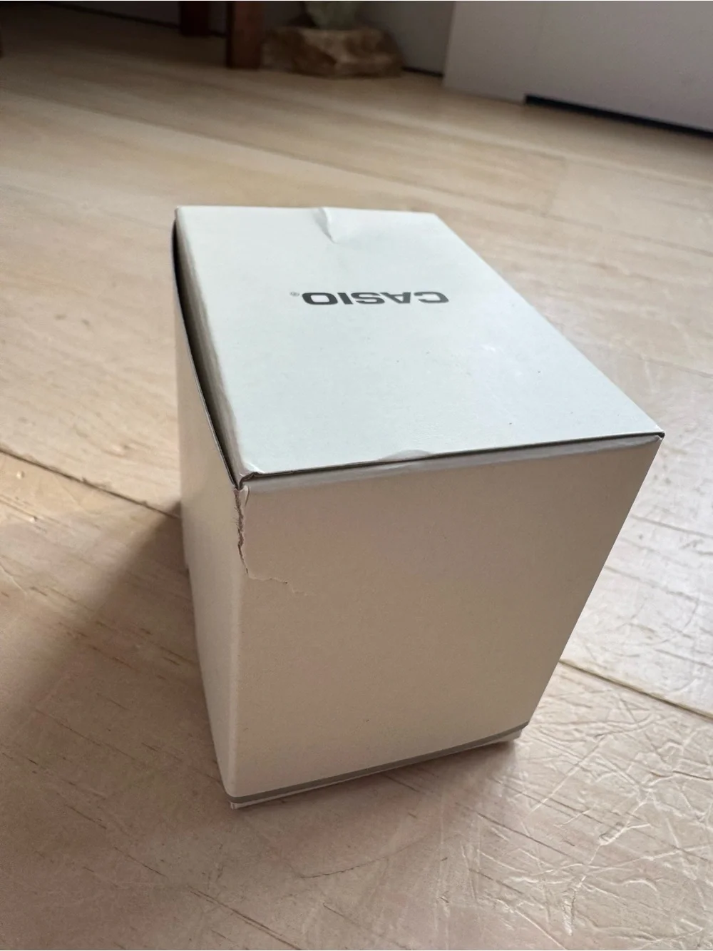 Casio monochromatic color