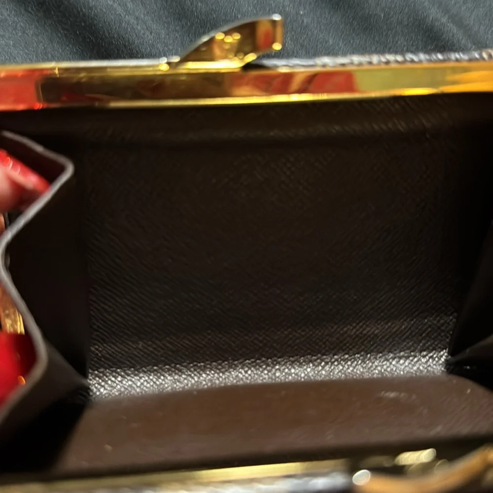 Louis Vuitton authentic louis