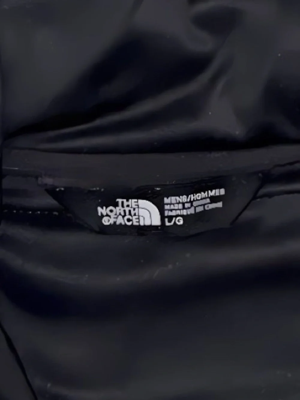 The North Face north face