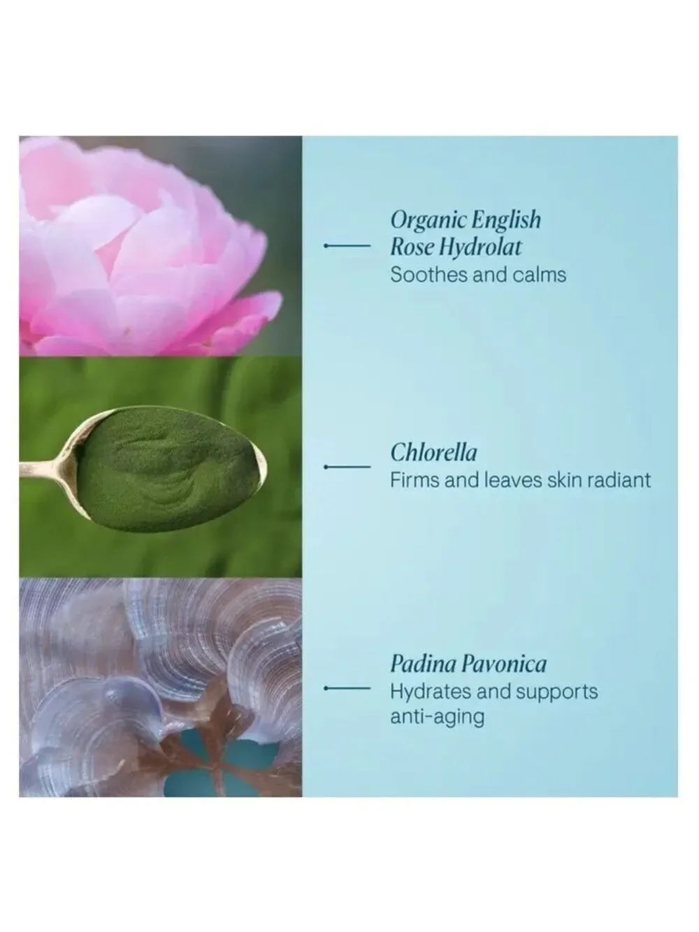 ELEMIS luxurious anti
