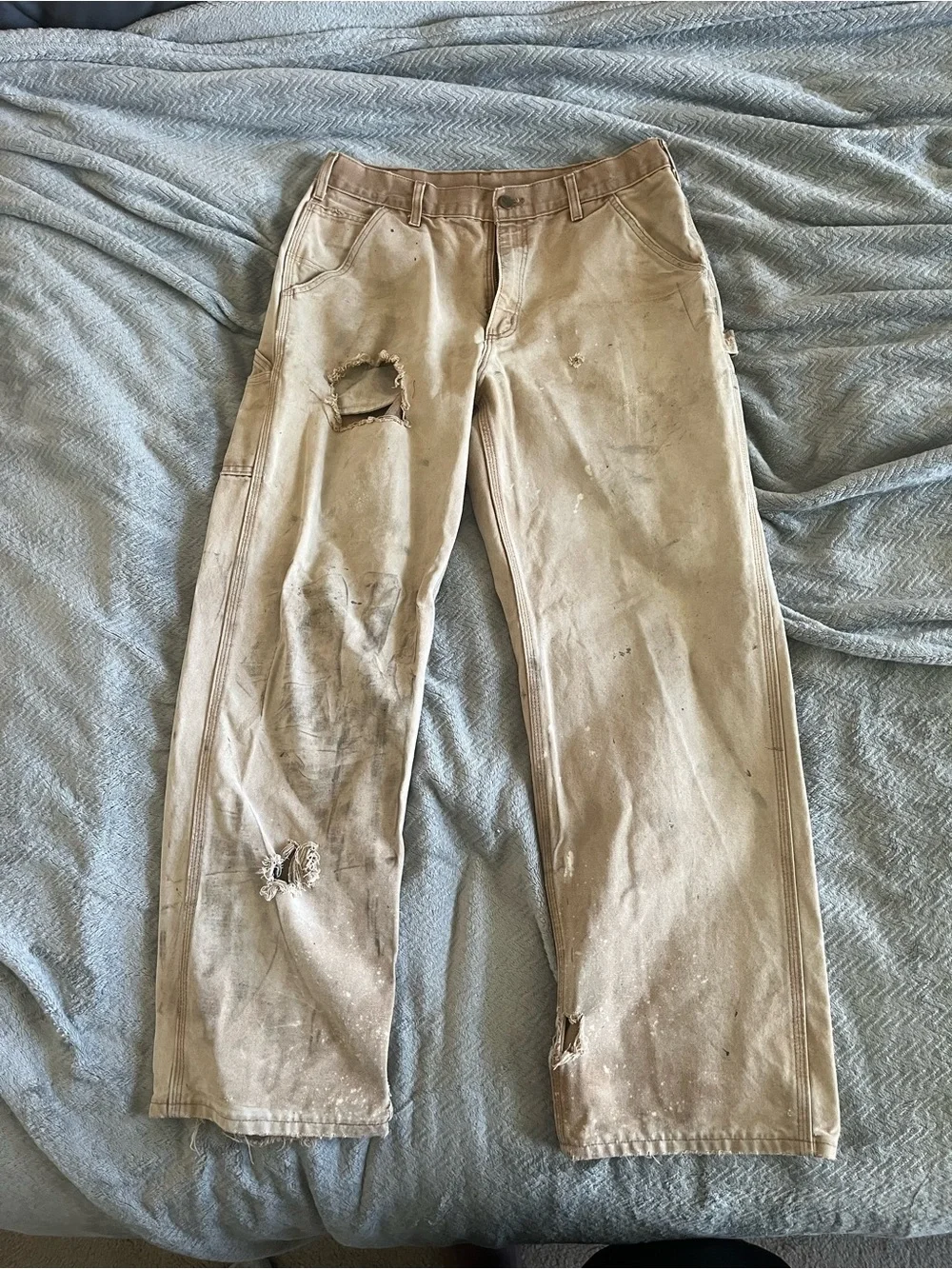 Thrashed Carhartt Work Pants