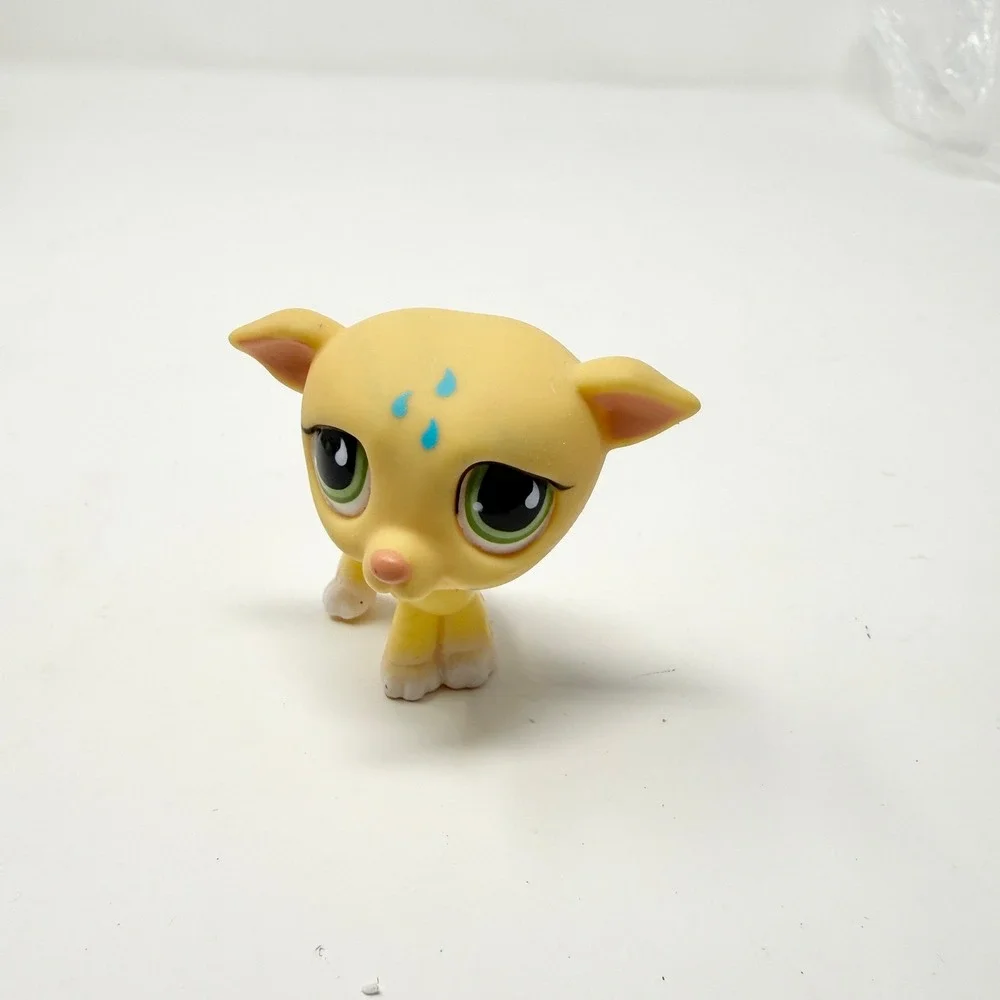 Hasbro littlest pet