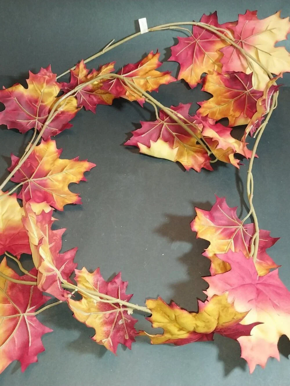 N/A fall leaf
