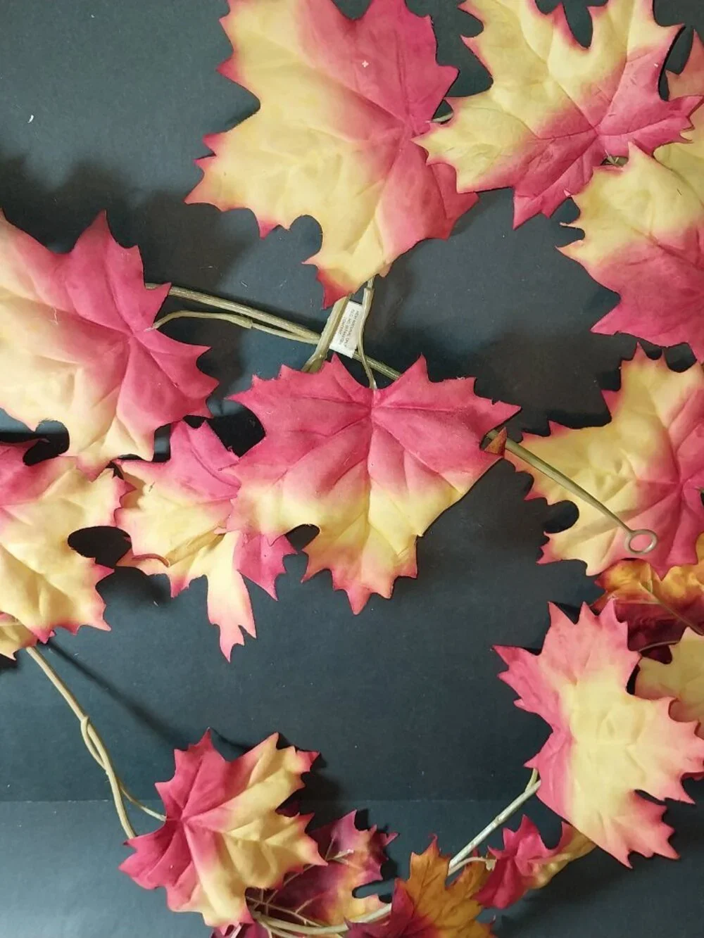 N/A fall leaf