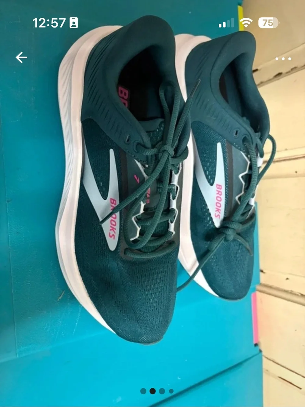 Brooks breathable mesh