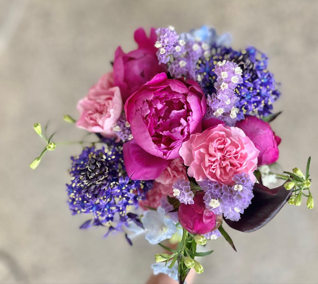 Stardust Cut Flower Set: Peony, Scilla, Fresh Flowers, Nekoposu