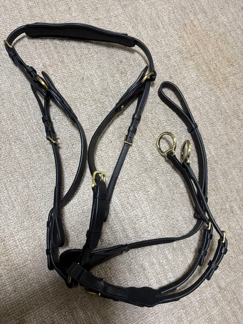 ⭐︎New⭐︎ BD Riding Chest Guard Chest Protector Martingale Show Jumping Saddle