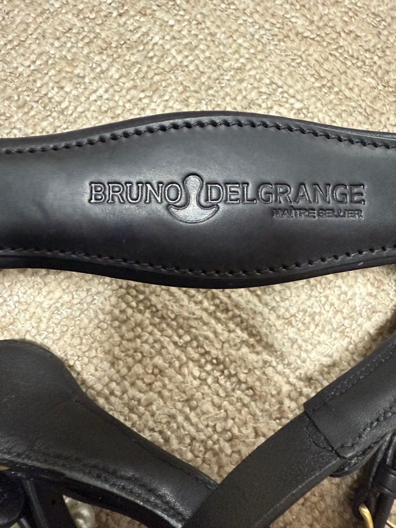 bruno delgrange