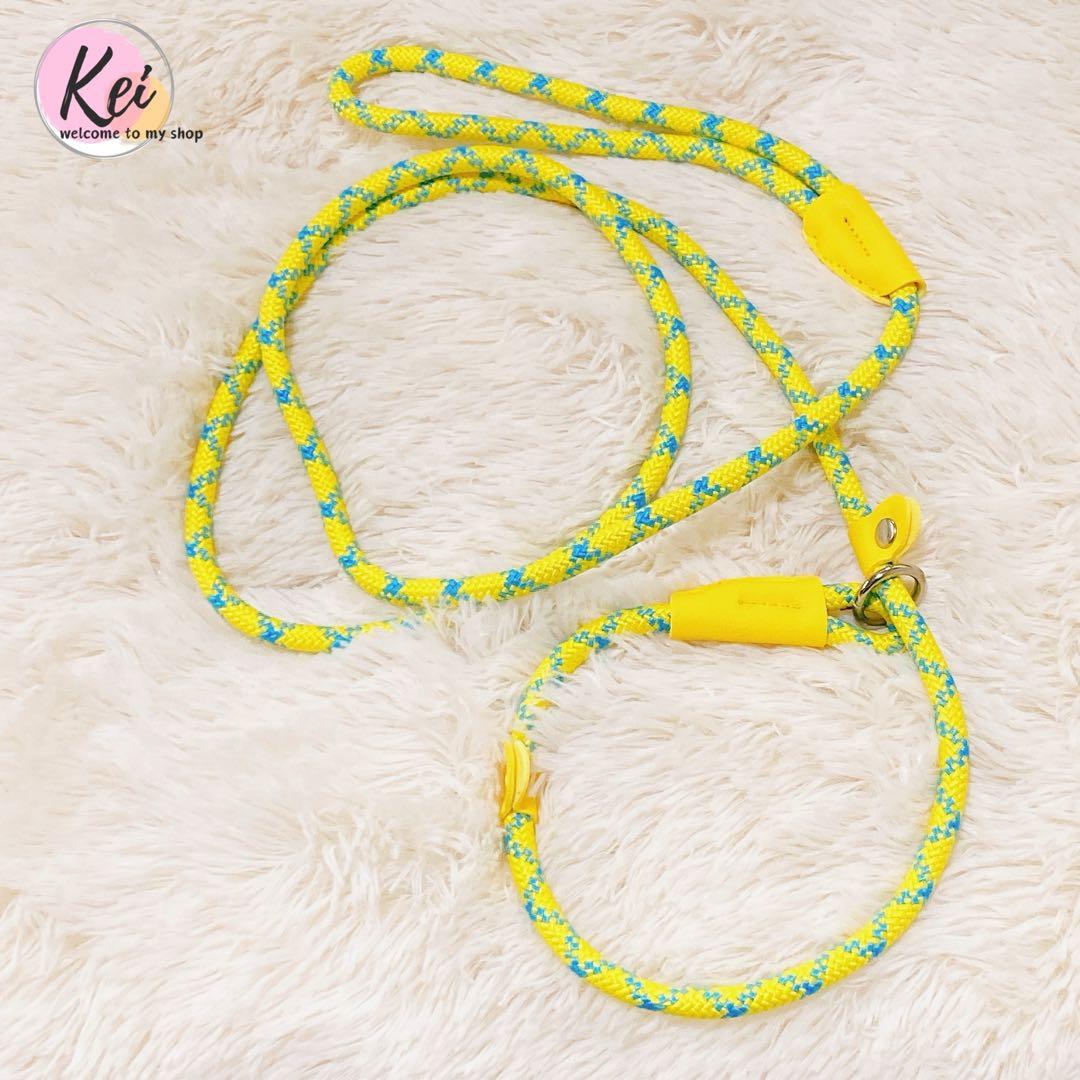 ?? Dog Leash for Pulling Training, Walking, Integrated Collar, No Collar Needed, For Dogs