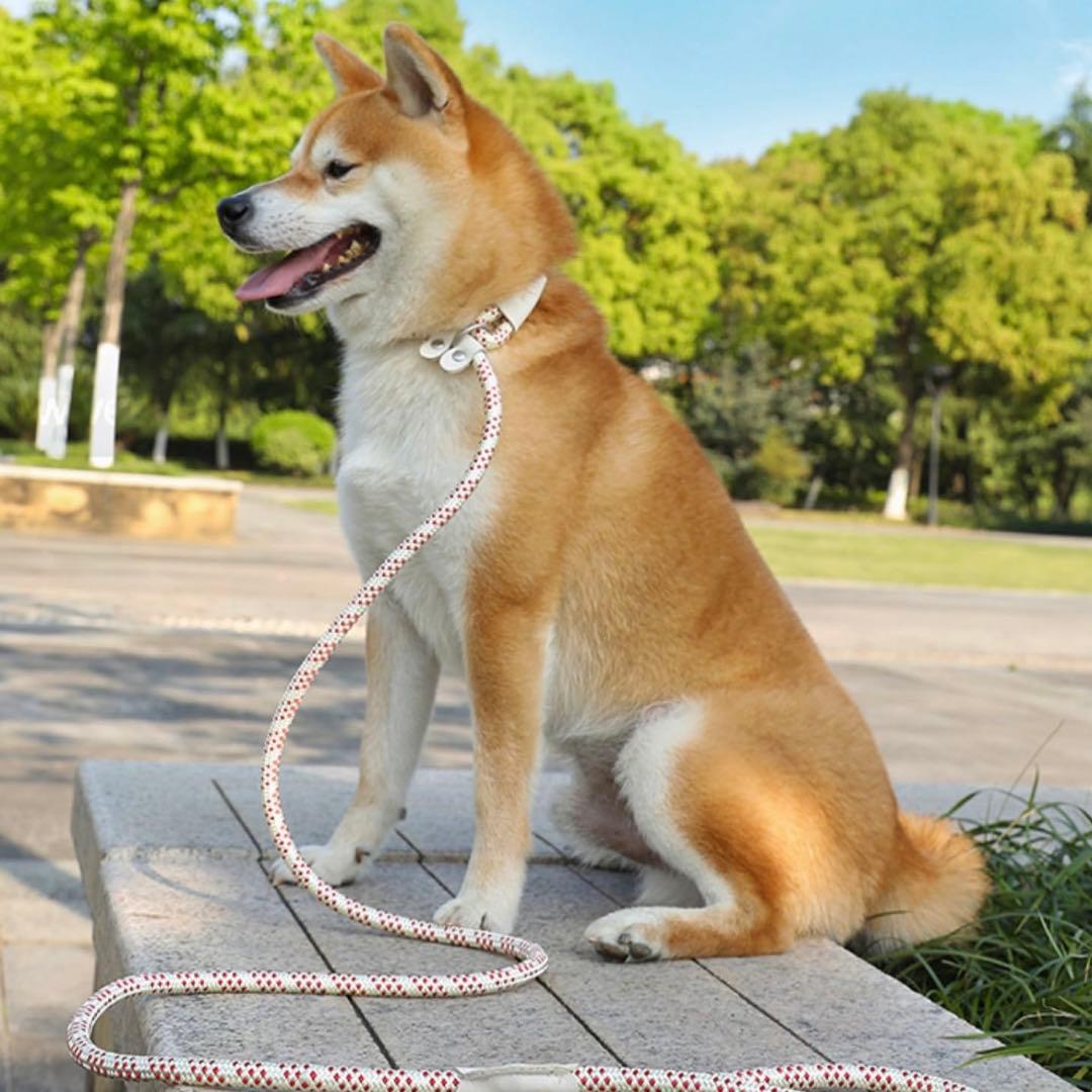 ?? Dog Leash for Pulling Training, Walking, Integrated Collar, No Collar Needed, For Dogs