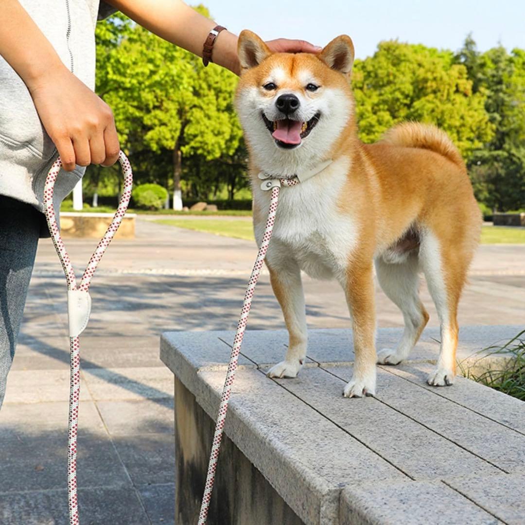 ?? Dog Leash for Pulling Training, Walking, Integrated Collar, No Collar Needed, For Dogs