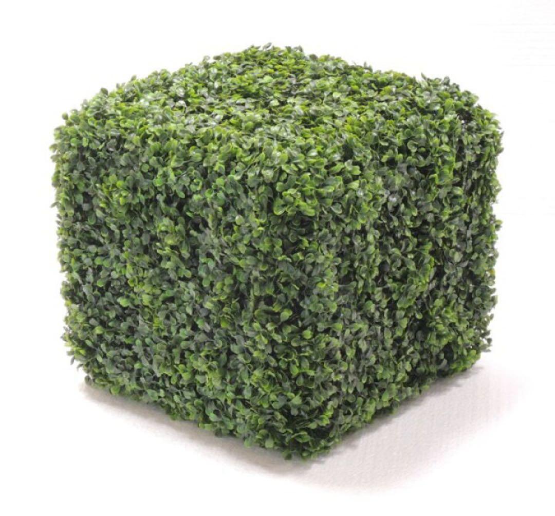 Green Object, Houseplant