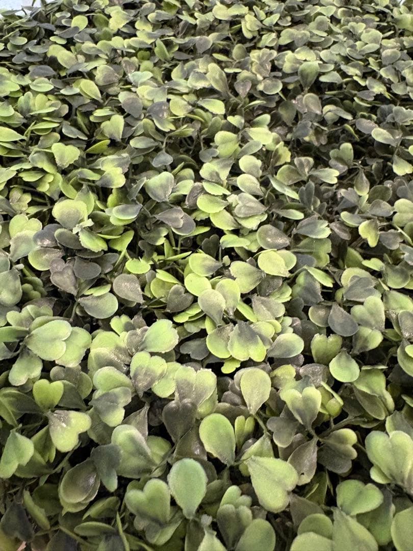 green<br>foliage plant<br>artificial
