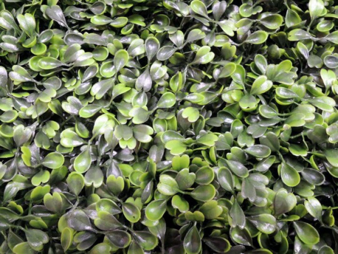 green<br>foliage plant<br>artificial