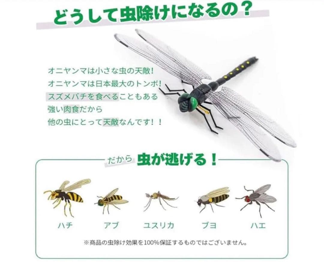 no product