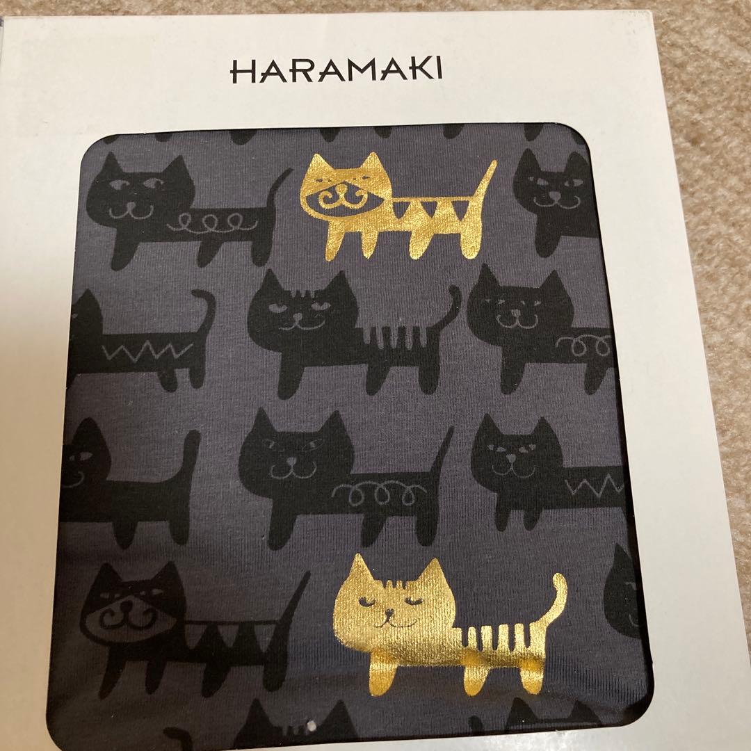 cute cat