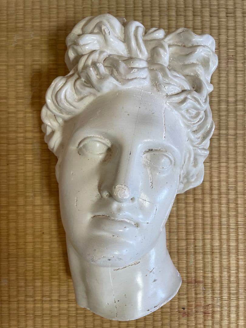 Plaster Bust Half Face Drawing