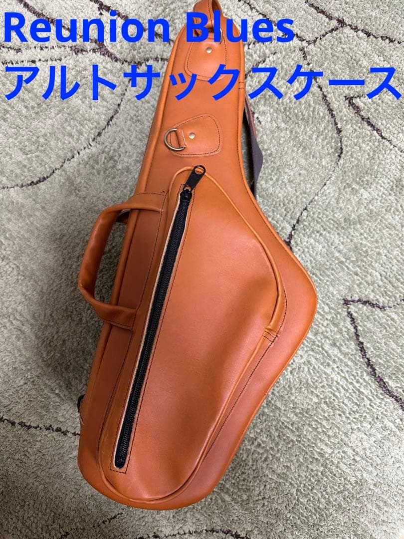 Reunion Blues Alto Saxophone Case