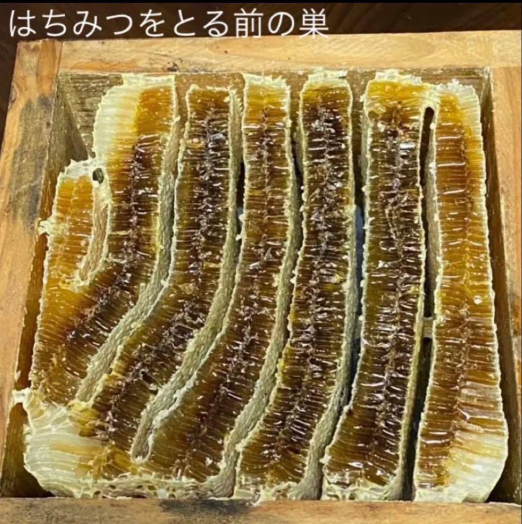 For Naccho-sama Only: Repeat Customer Discount - Japanese Honeybee Paw Cream, Safe to Lick, Large Jar x 2