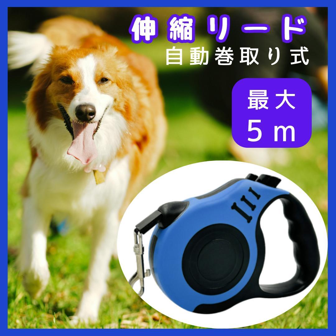 Dog Leash, Retractable, 5m, Blue, for Small to Medium Dogs, One-Touch Automatic Retraction
