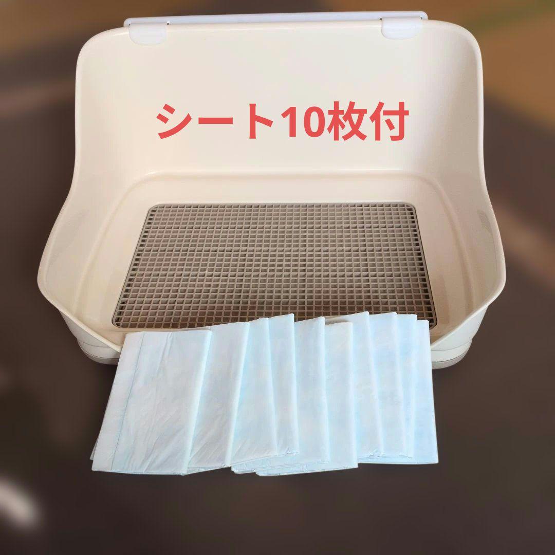 white toilet