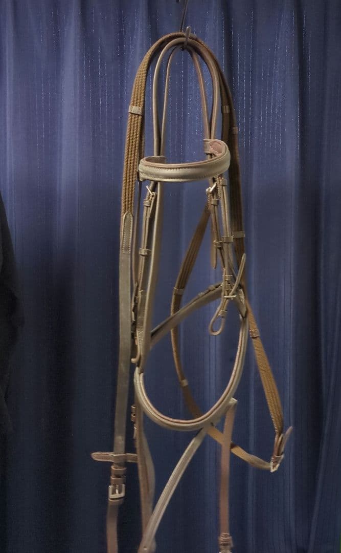 Beige Leather Bridle for Horse Riding, Full Size - For KOKO