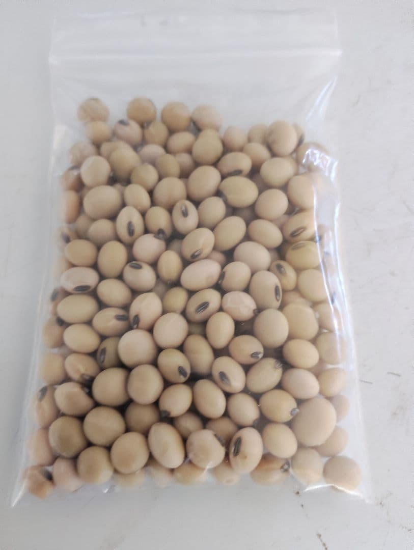 50 seeds
