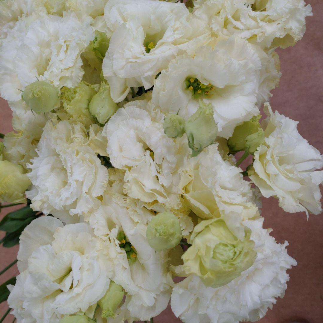bouquet lisianthus