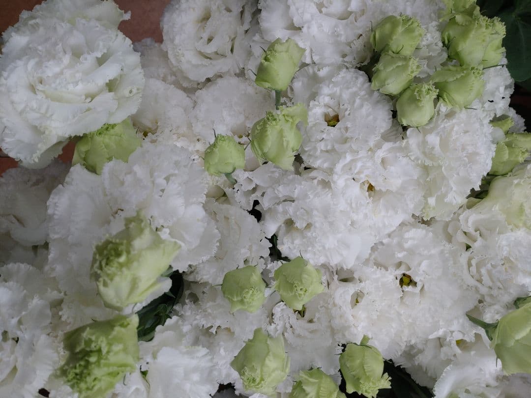 bouquet lisianthus