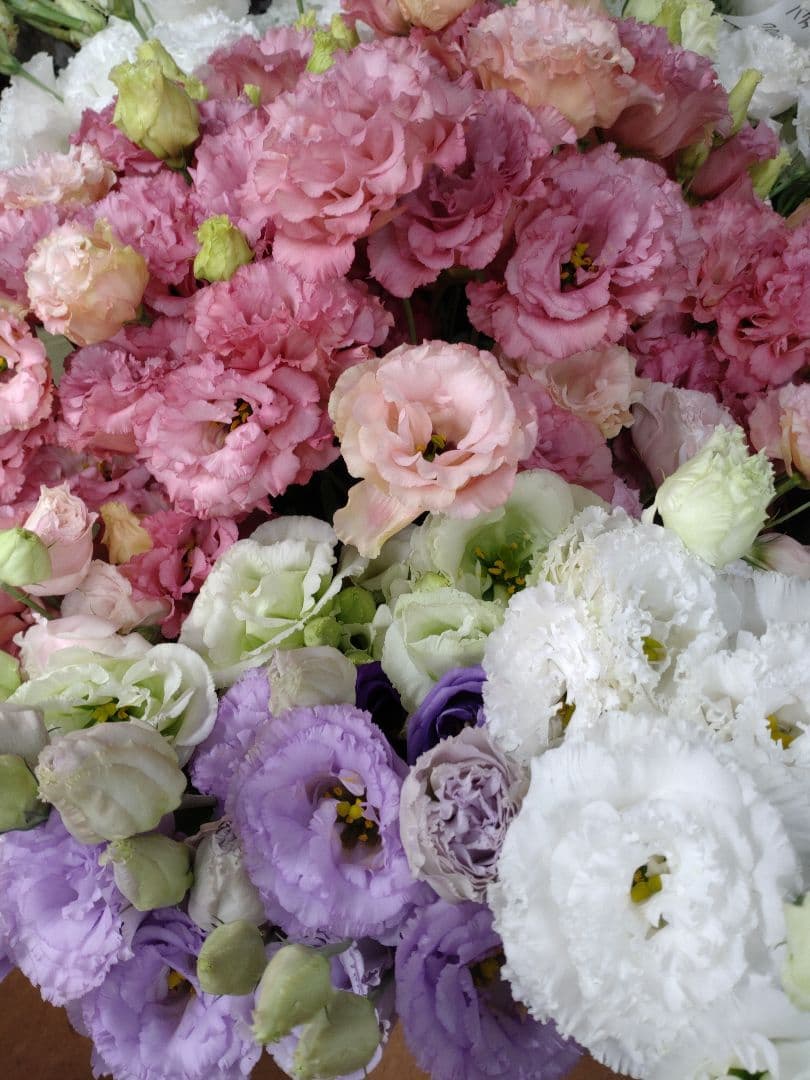 bouquet lisianthus