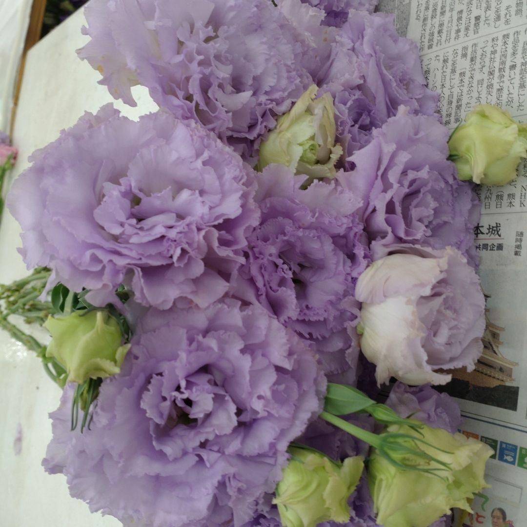 bouquet lisianthus