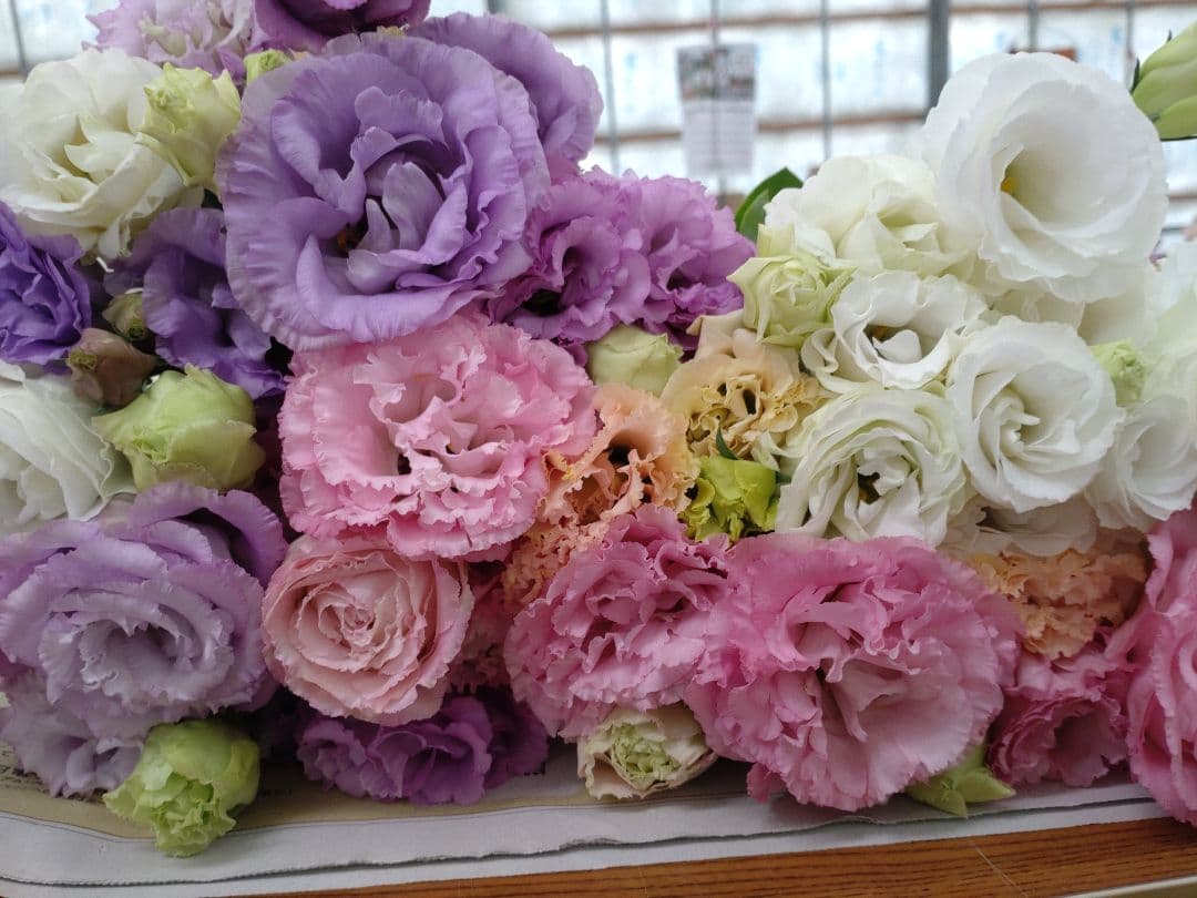 bouquet lisianthus