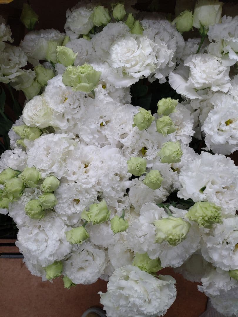 bouquet lisianthus