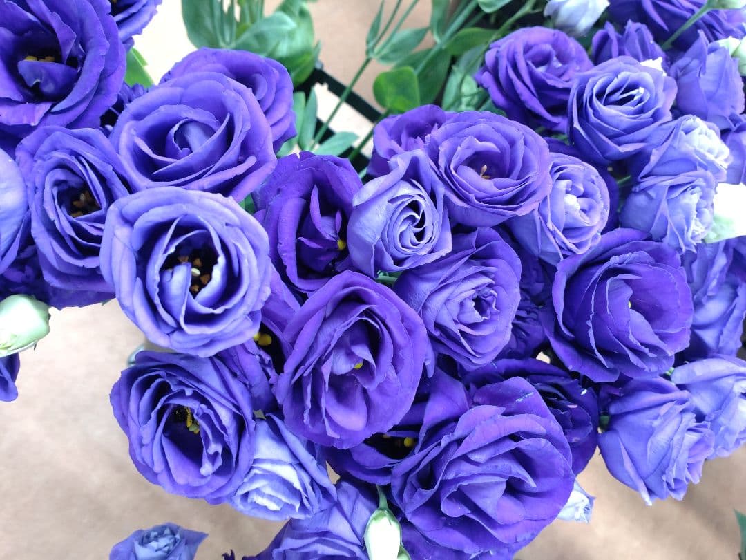 bouquet lisianthus