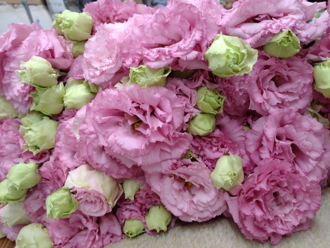 bouquet lisianthus