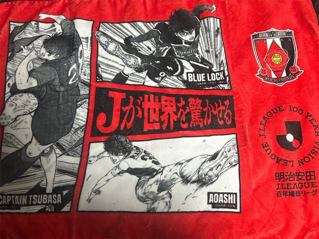 League 100-Year Vision Urawa Reds 