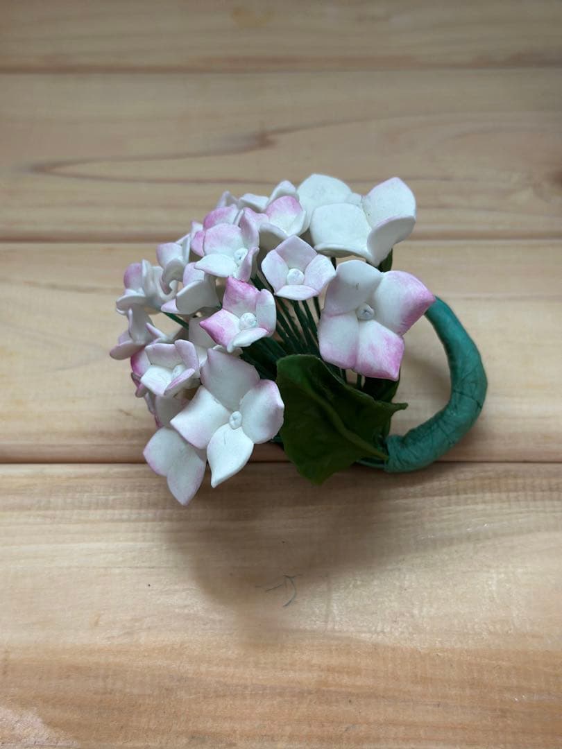 this hydrangea